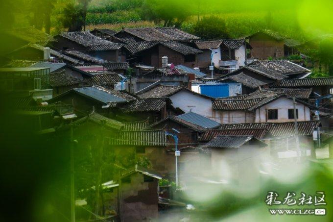 嘉日单词