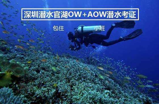 探索你的好奇心,在为什么我们博大精深的道理,一旦对外总是被揍得鼻青脸肿?吉鹿力问答社区找到答案